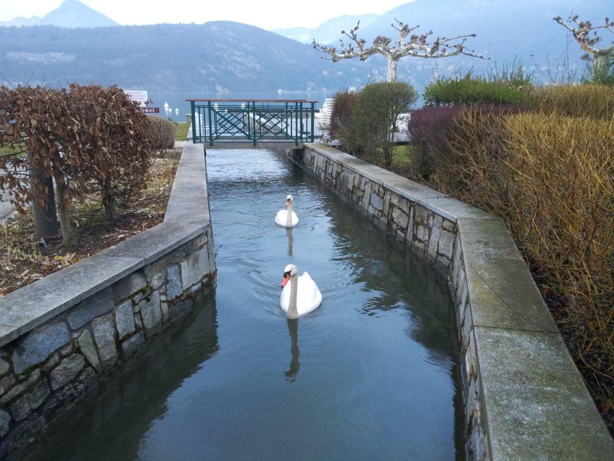 Les Pieds Dans L'eau Au Bord Du D'annecy *
